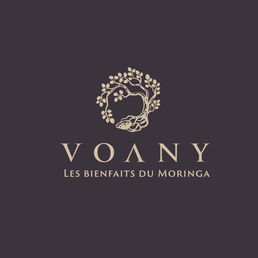 Classic logo design for Voany