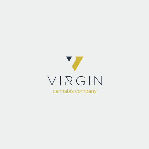 Geometric logo in the shape of a V