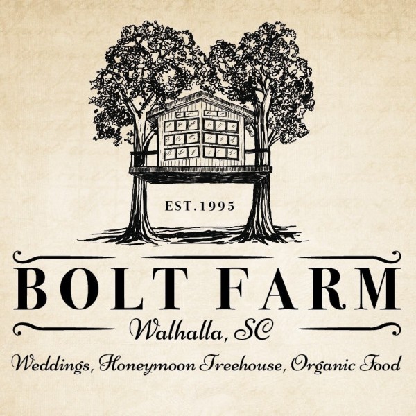 Vintage wedding logo