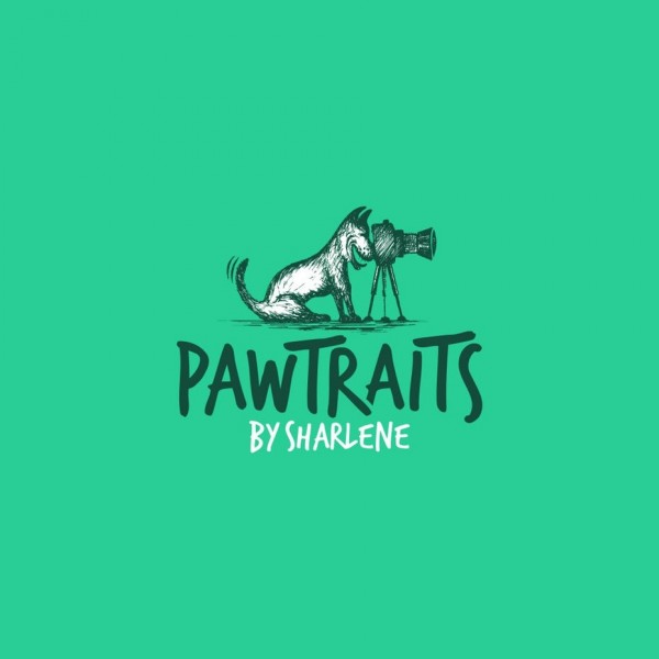 Photography logo with illustration