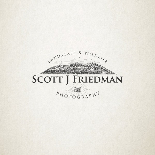 Photography logo with illustration