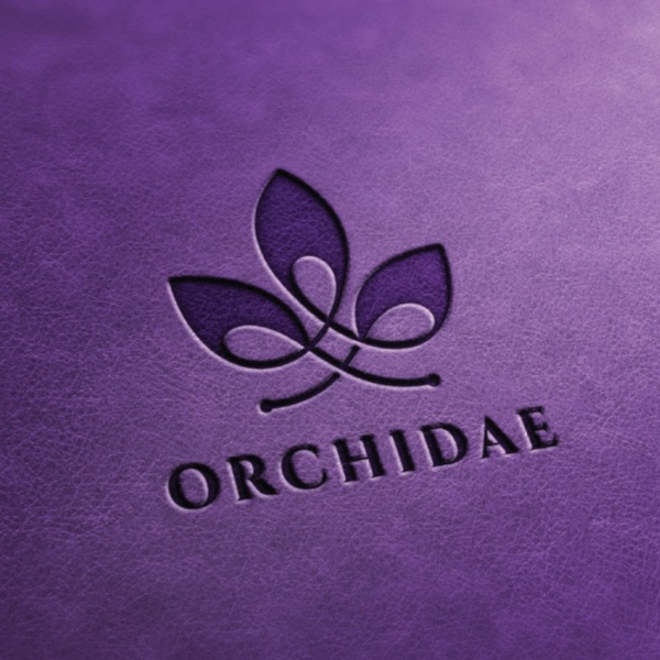 logo with interpretive illustration