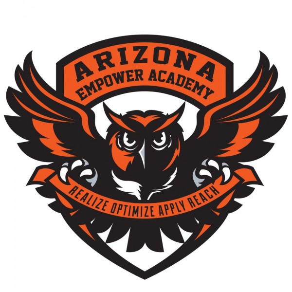 Owl mascot logo design