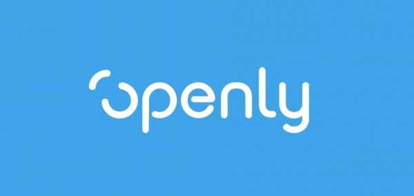 Openly logo design
