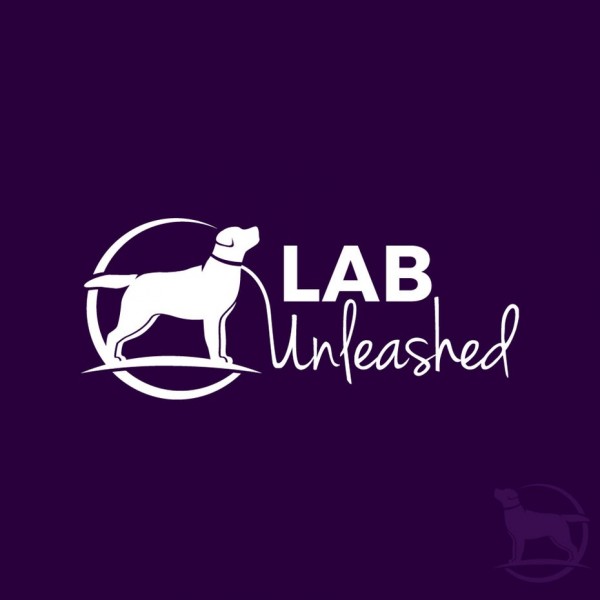 Lab Unleashed logo design