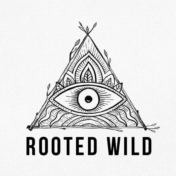 Angular logo