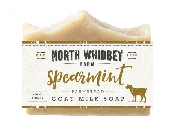 soap picture