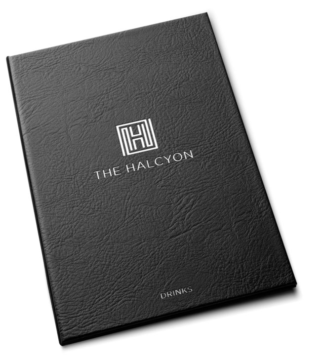 The Halcyon精品酒店vi设计，logo设计