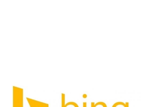 必应Binglogo标志标志logo设计，品牌vi设计