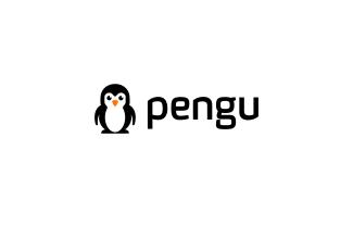 企鹅标志标志logo设计，品牌vi设计