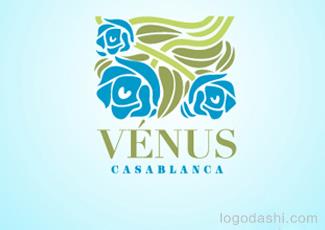 金星卡莎布兰卡化妆品标志logo设计，品牌vi设计