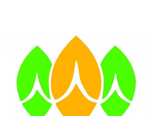 天狮标志含义标志logo设计，品牌vi设计