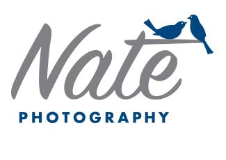 Nate标志标志logo设计，品牌vi设计