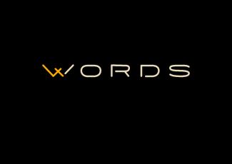 WORDS标志logo设计，品牌vi设计