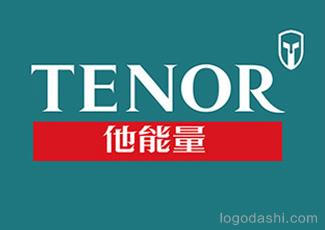 他能量标志标志logo设计，品牌vi设计