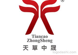天草中晟科技标志logo设计，品牌vi设计