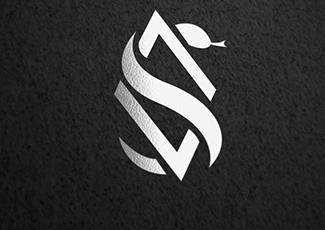 蛇与钻石标志logo设计，品牌vi设计