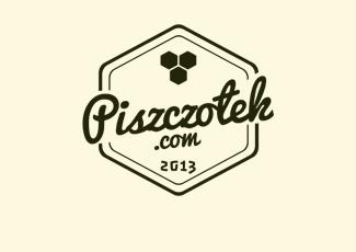 Piszczotek蜂房标志logo设计，品牌vi设计