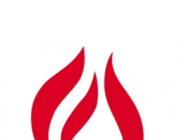 佛山日报启用标识标志logo设计，品牌vi设计