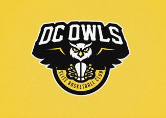 DC猫头鹰标识标志logo设计，品牌vi设计