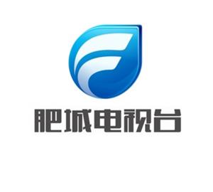 肥城电视台台标寓意标志logo设计，品牌vi设计